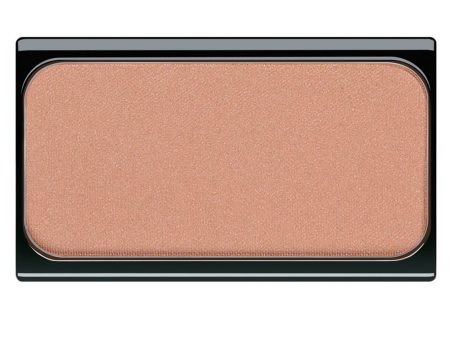 Blusher magnetyczny róż do policzków 13 Brown Orange 5g Fashion