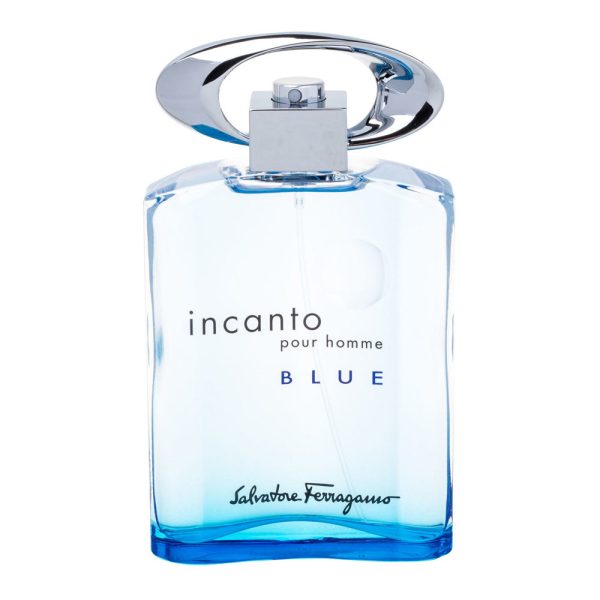 Incanto Pour Homme Blue woda toaletowa spray 100ml For Discount