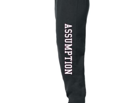 Sweatpants - Joggers - Black - Assumption Discount