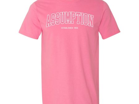 T-Shirt - Pink - Assumption Est. 1955 For Sale