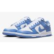 Nike Dunk Low Polar Blue Online now