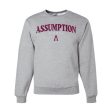 Sweatshirt - Crew Neck - Grey - Assumption Alumna Online Hot Sale